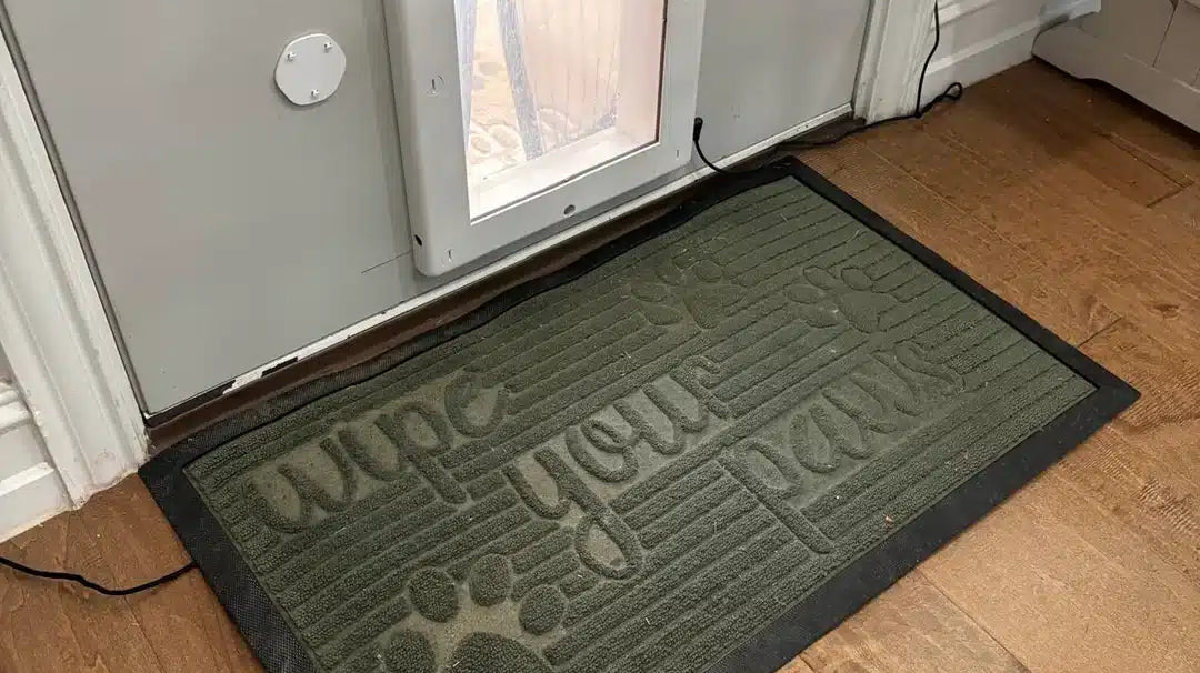 TrampleTek Blue Challenge – Second Place Winner – Canine Control